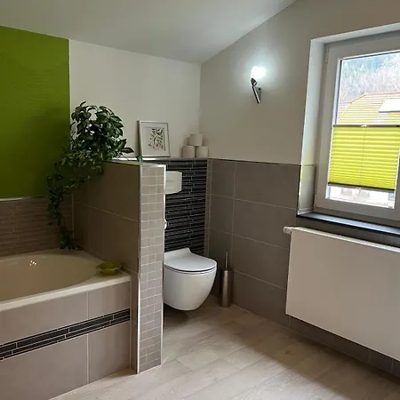 Апартаменты In Engelsbach, Thueringer Wald Георгенталь